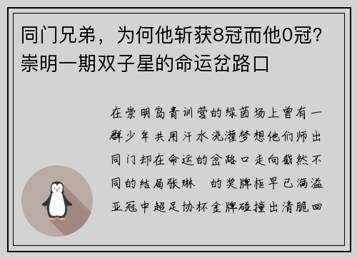 同门兄弟，为何他斩获8冠而他0冠？崇明一期双子星的命运岔路口